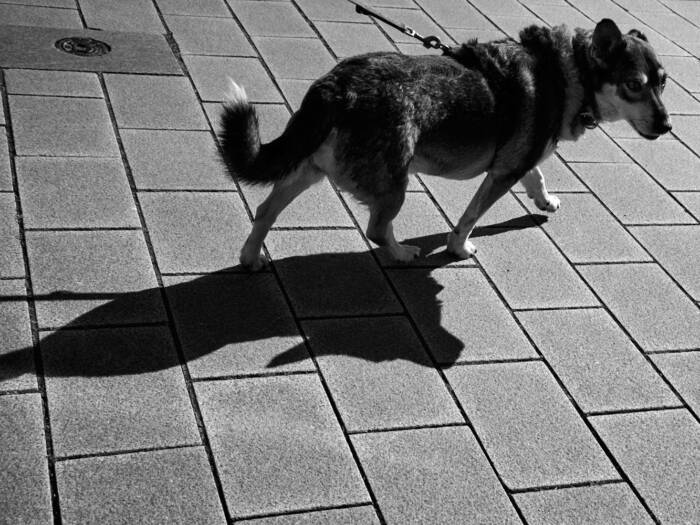 AN DER LEINE – Serie