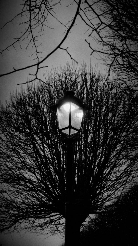 DÄMMERUNG – Serie