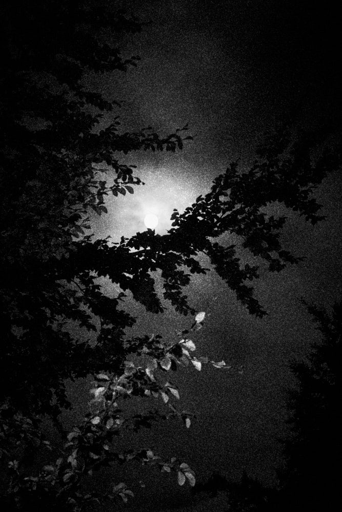 HERBSTNACHT – Serie