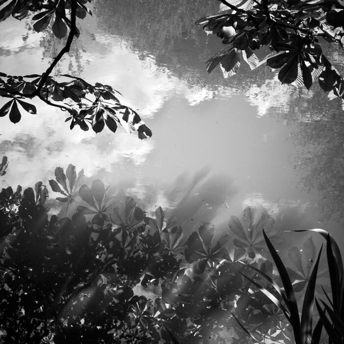 Spiegelung am Wasser