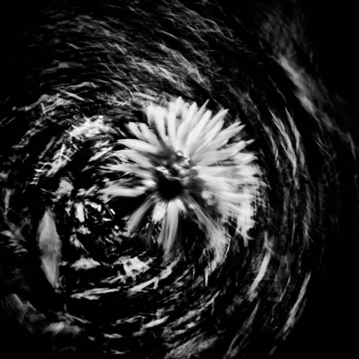 VERDICHTUNG – Serie